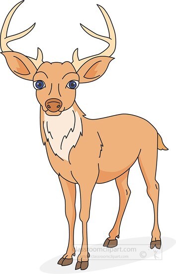 standing brown white deer with antlers clipart