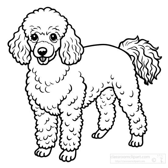 standing poodle with a fluffy coat black outline