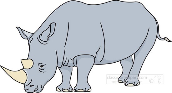 standing wild rhino animal clipart