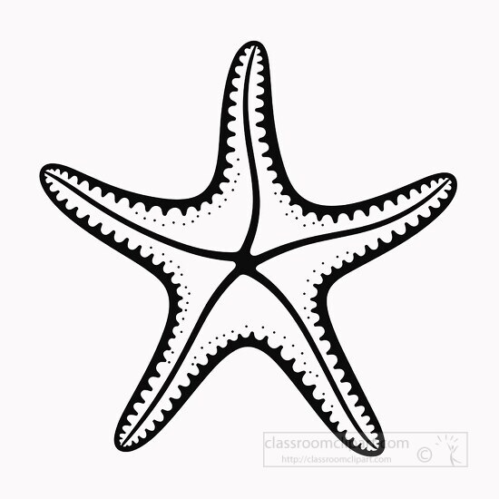 Star Fish Outline - Black & White Line Art