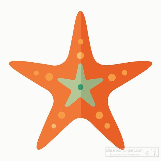 starfish has a symmetrical design on a white background