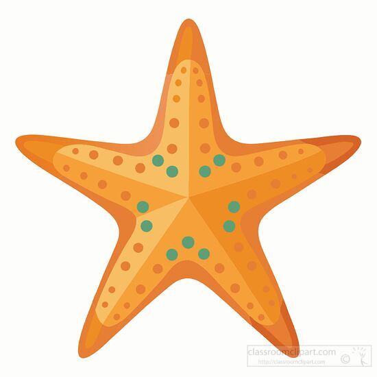 starfish has a symmetrical design on white background