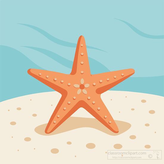 starfish resting on sandy ground with a clear sky