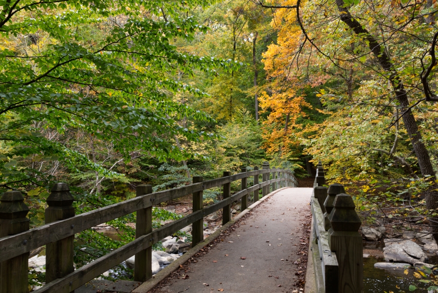 all view in Falls Church Virginias Cavalier Trail Park Classroom Clip Art
