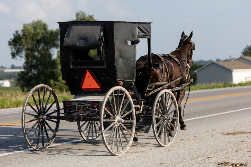 Amish or Mennonite couple and their horse and buggy traverse the ...