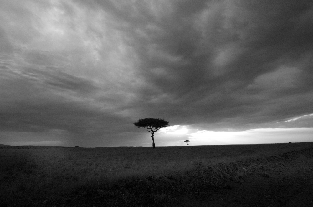 black-white-sunset-africa-photo-image - Classroom Clip Art