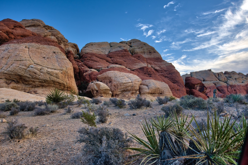 Red Rock Canyon: Where The Desert Comes Alive