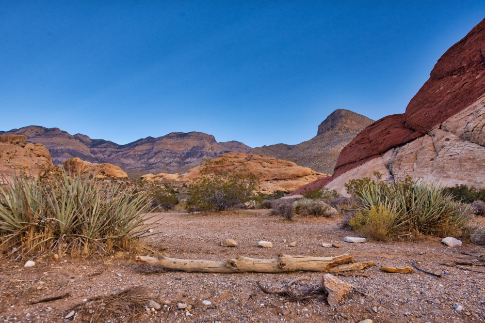 Nevada Sunrise: Your Desert Oasis Awaits!