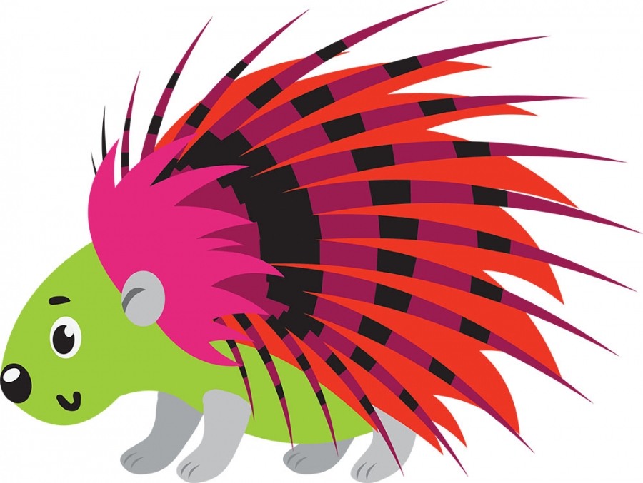 baby porcupine shows sharp quills gray color clipart Classroom Clip Art