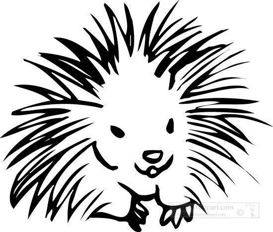 Porcupine Clipartbristling porcupine outline printable clip art