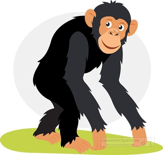 Primate Clipart Chimpanzee Walking Animal Vector Clipart