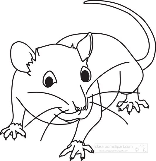Mouse Clipart-furry rodent little rat outline printable clip art
