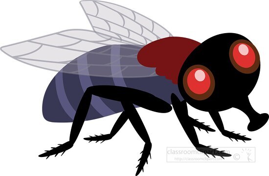 Insect Clipart-Housefly Insects Animal Clipart