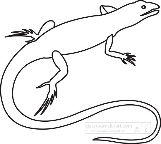 lizard black outline clipart 41 - Classroom Clip Art