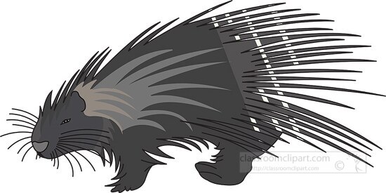 Porcupine Clipart-porcupine rodent mammal outline cutout printable clip art