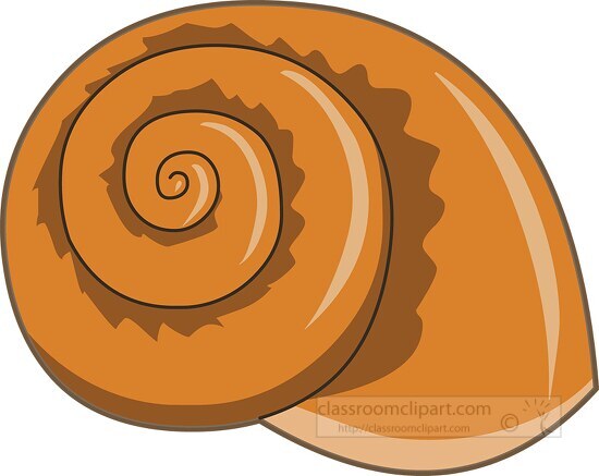 sea shells clipart 01 - Classroom Clipart