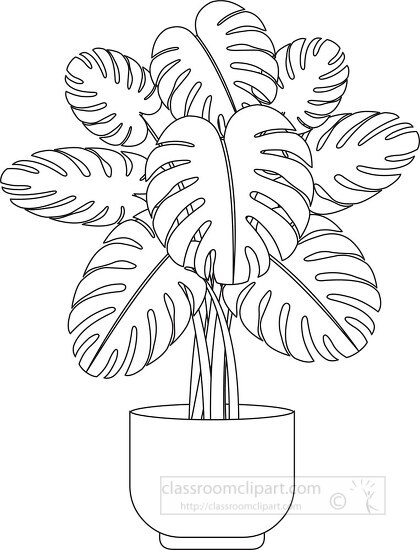 Black White Outline Clipartsplit leaf philodendron swiss cheese house