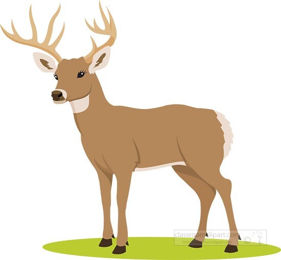 deer with antlers clipart - Classroom Clip Art