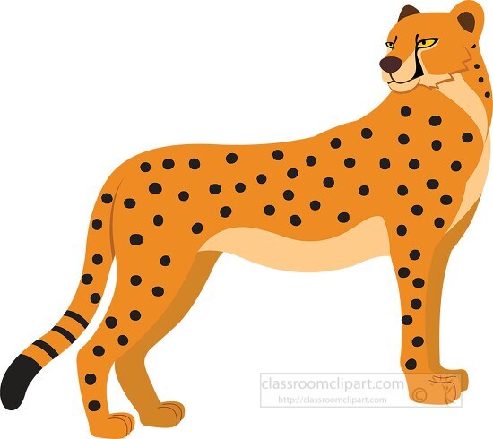 cheetah fastest mammal clipart - Classroom Clip Art