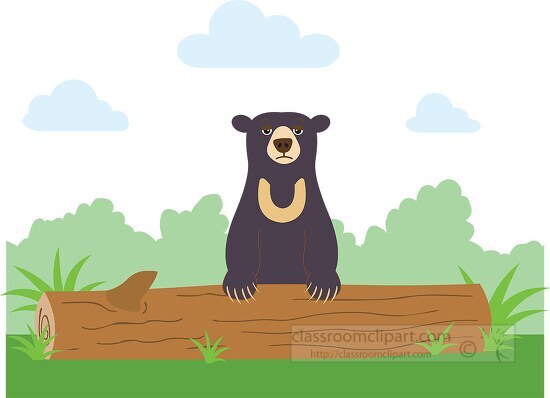 Sun Bear Ursus Malayanus bear sitting on a log in the grassy for