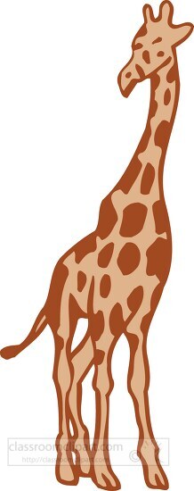 tall giraffe standing clipart