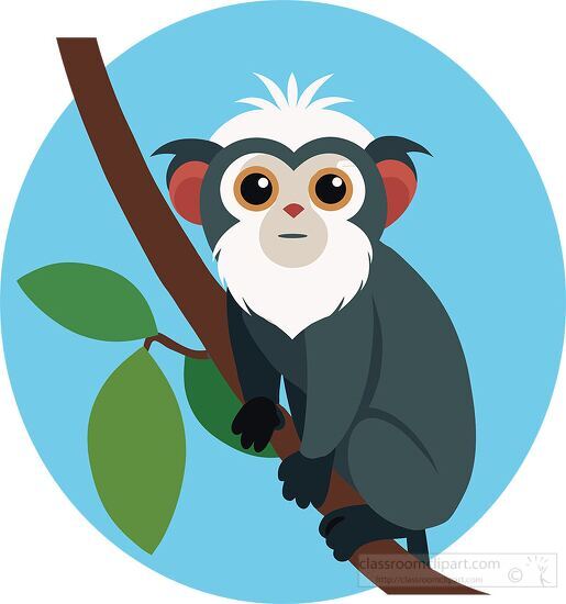 tamarin monkey holding onto a branch clipart