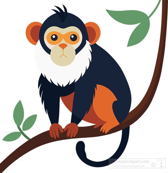 tamarin monkey white beard and orange ears