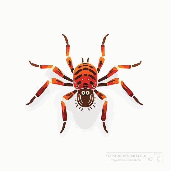 tarantula spider 3