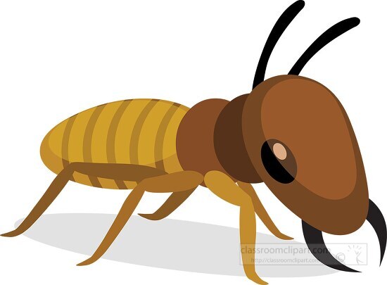 Termite small Insect feeds on wood Clipart