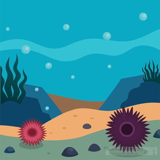 the ocean floor with purple sea urchins