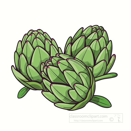 three artichokes with tightly packed leaves clip art