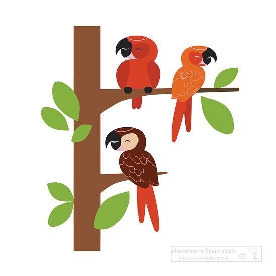 three birds with colorful beaks sitting in a tree
