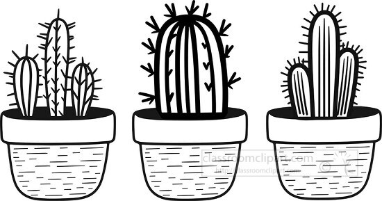 three cactus plants in planters black outline