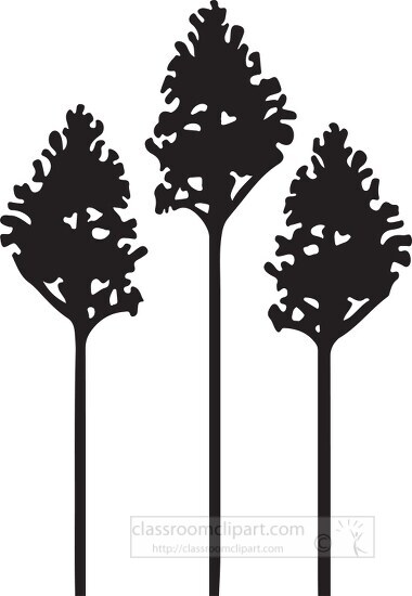 three tall trees black silhouette clipart