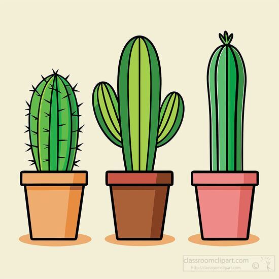 three variations of tall green cactus plants