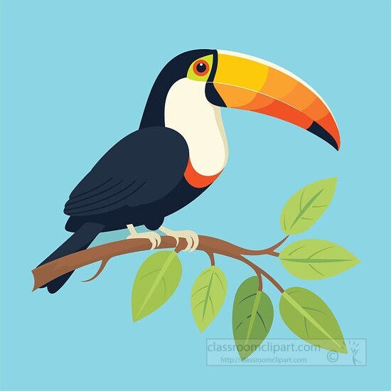 toucan standing on a tree