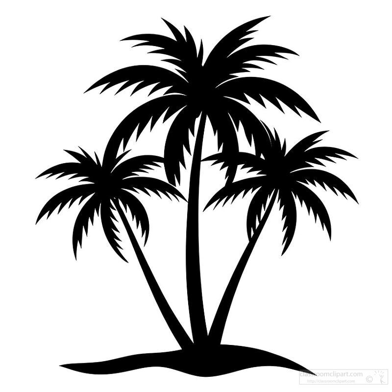 silhouette of tall palm trees on a white background