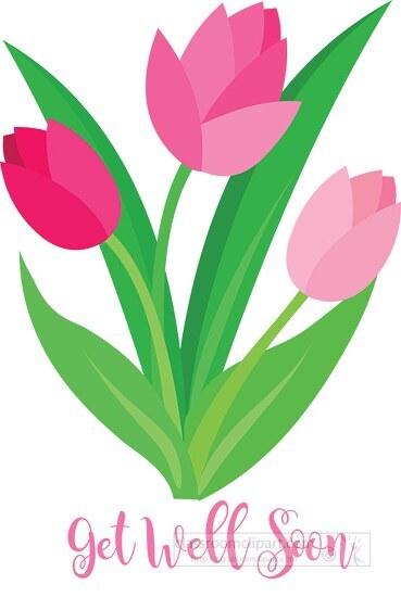 tulip spring flower get well soon clipart