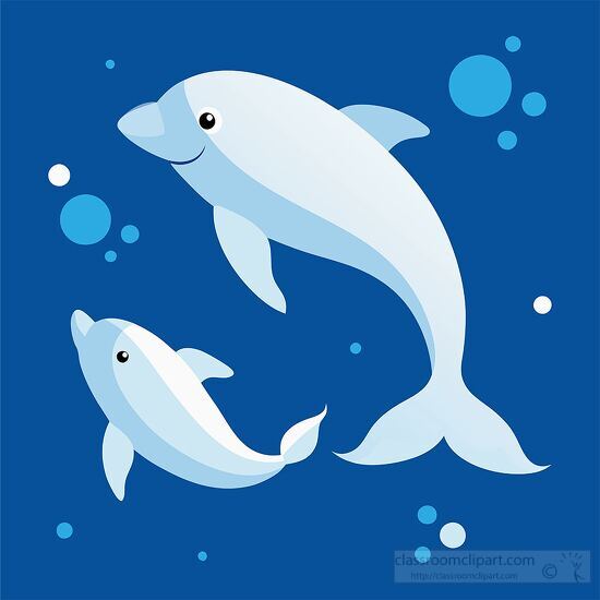 Two beluga whales swim gracefully in a blue ocean surrounded by 