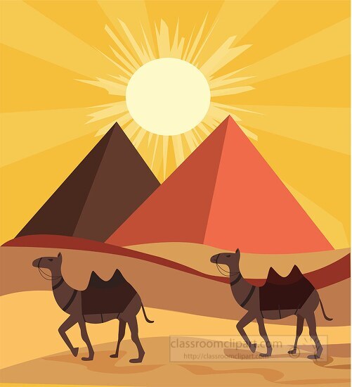 two camels walking near the great pyramids of egypt bright sun in sky
