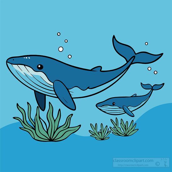 Two whales cartoon style line art surrounded by underwater plant