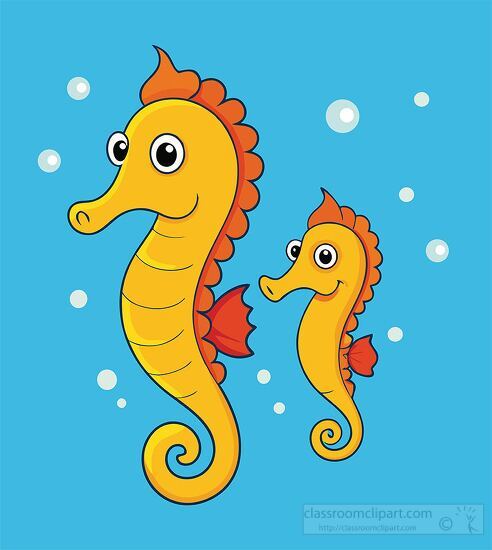 two yellow seahorses swimming in the ocean