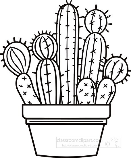 various cactus plants in a planter black outline