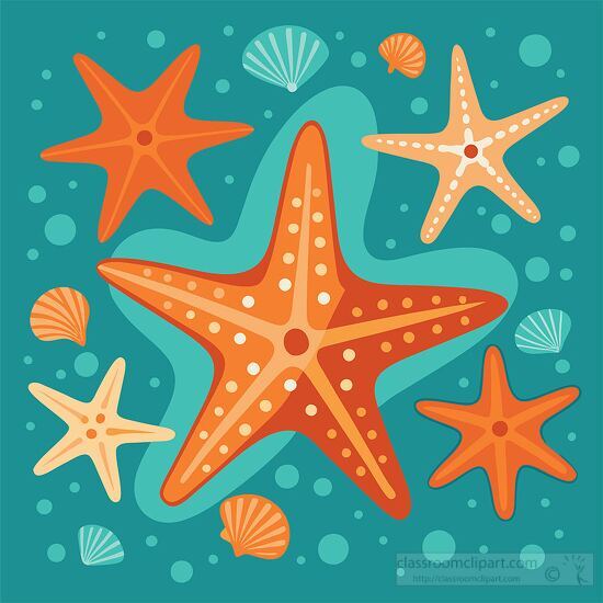 various starfish with small shells on a blue background