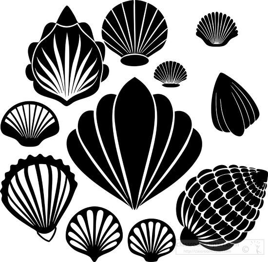 vector illustration set of sea shells black silhouette