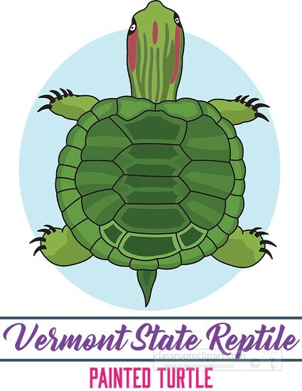 vermont state reptile painted turtle clipart image