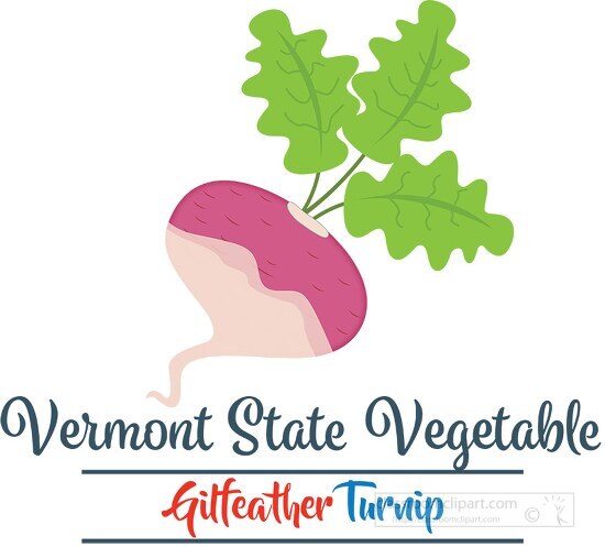 vermont state vegetable gilfeather turnip clipart