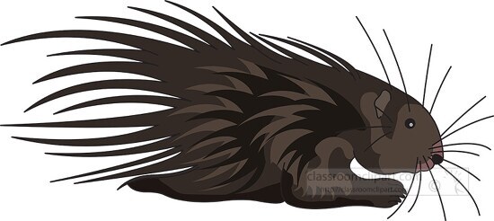 walking porcupine with long spikes clip art