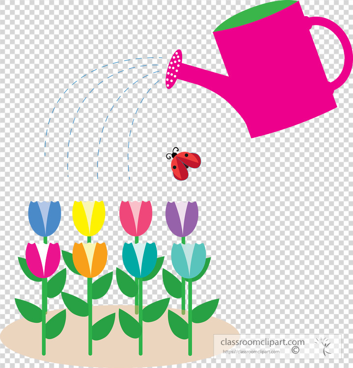 watering flowers with garden watering can