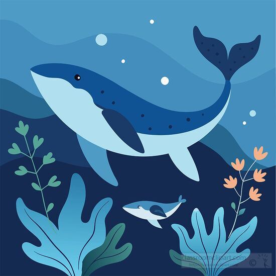 whale with her baby swimming through an ocean filled with kelp